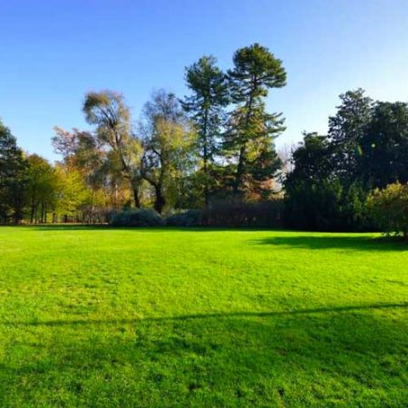 nivelage-parcelle-terrain